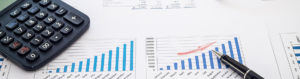 State Budget